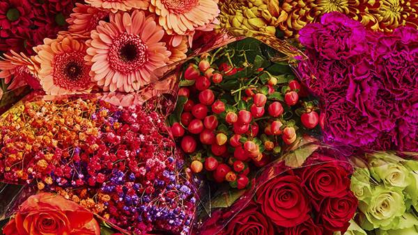 Blomstereng